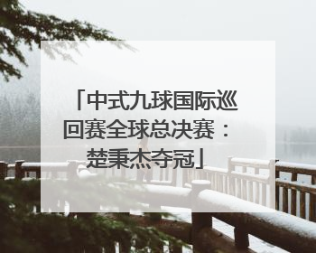 中式九球国际巡回赛全球总决赛：楚秉杰夺冠